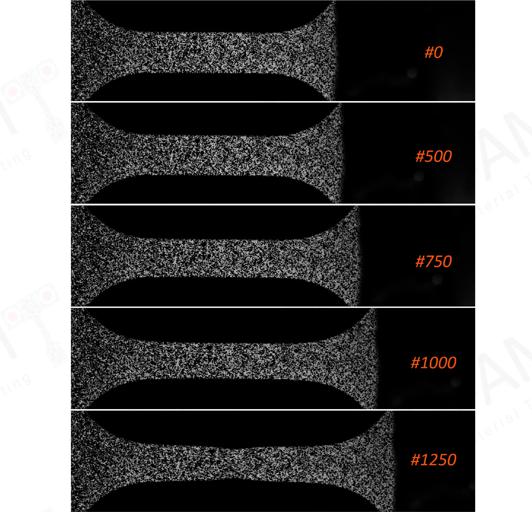 Principles of DIC_FADI-AMT